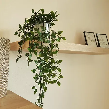 Kavi #1, Sunset View Apartmán *