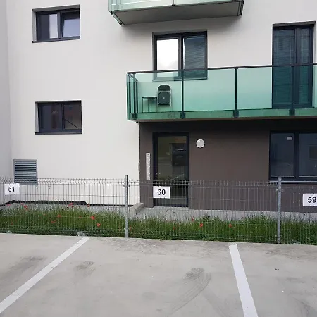 Kavi #1, Sunset View * 比尔森